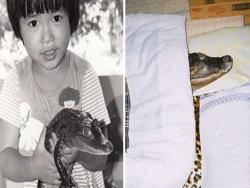 日男從小養鱷魚34年來不離不棄，結果現在...「我從來沒想過牠會變這麼大。」