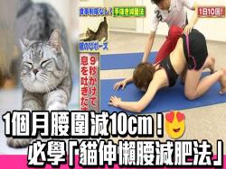想1個月減4kg ? 學貓就對了 ! 日本大熱「 貓伸懶腰減肥法 」