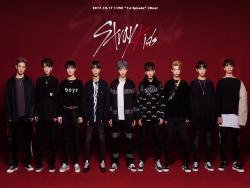 A Roller Coaster Of Emotions: 5 Convincing Reasons To Watch “Stray Kids”