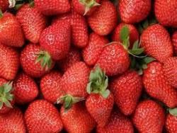 糖尿病患者不能吃櫻桃、草莓?大錯特錯